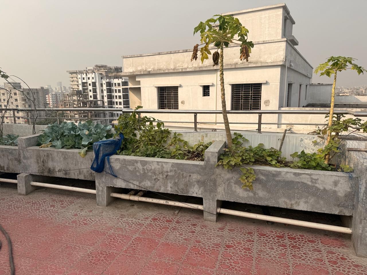 Modern Apartment Exterior